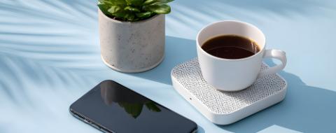 Green plant coffee phone on blue surface white