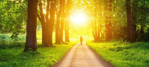 Person walking on a sunlit path through a lush green forest.
