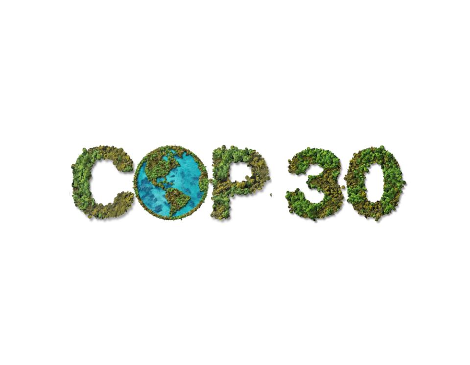 Climate Change Conference (UNFCCC) COP 30 poster concept.  Belem, brazil, November-2025. 
