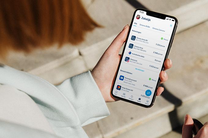 Met de zakelijke multi-valutarekening vermijd je verborgen wisselkosten. Wissel 24/7 aan realtime marktkoersen en doe gratis internationale overschrijvingen in vreemde munten.