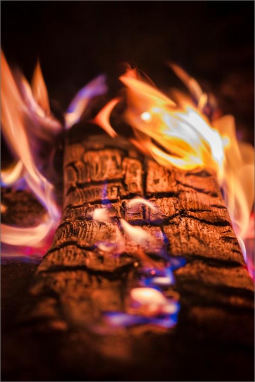 Bespaar tijd met Kate in KBC Mobile