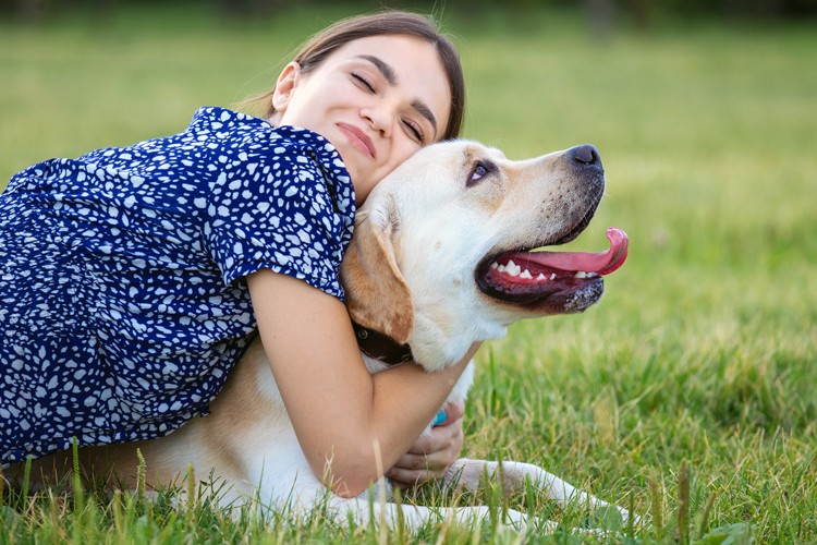 Je hond verzekeren - ontdek waarom het loont