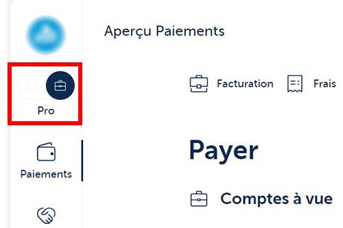 Passez à "Professionnel" dans le menu de gauche pour consulter les messages et les documents de votre entreprise.