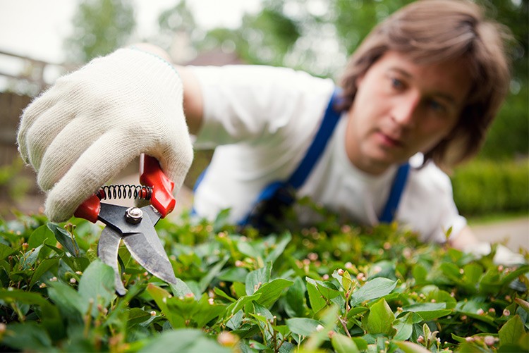 Gartenversicherung