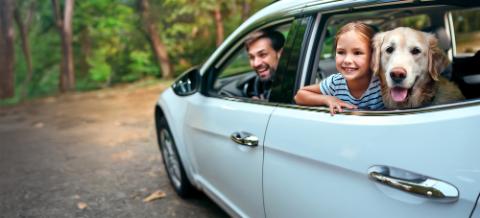 verzekering voor een hond